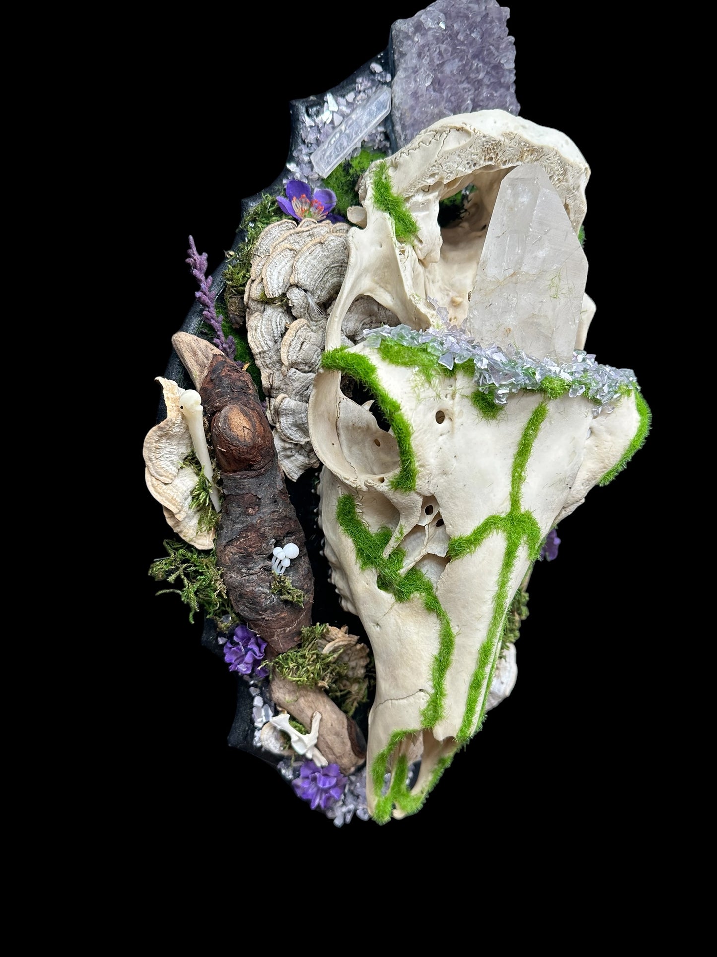 Stag Skull Plaque with Amethyst and Quartz