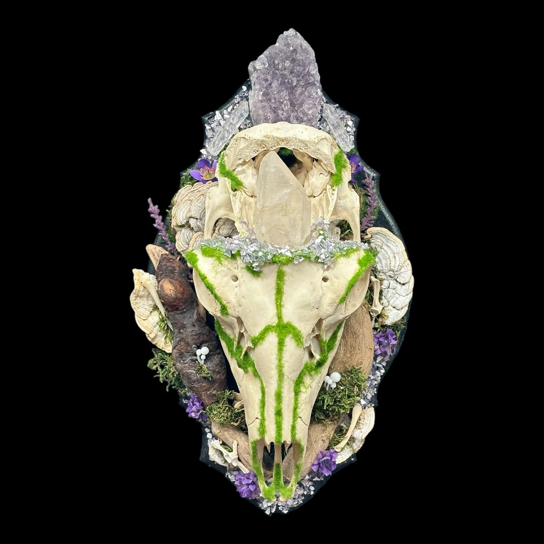 Stag Skull Plaque with Amethyst and Quartz