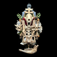 Raccoon Skull and Beaver Bone Wall Plaque