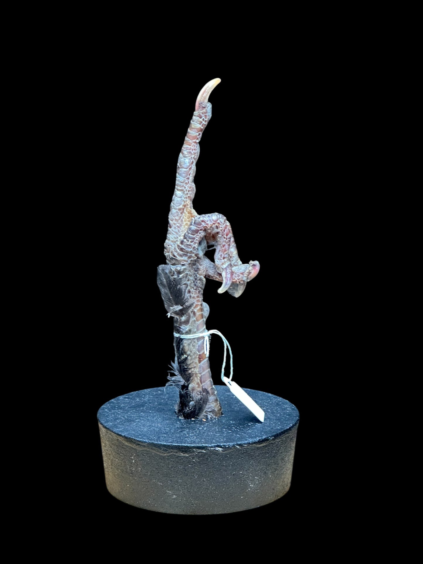 FU Chicken Leg (Dark)