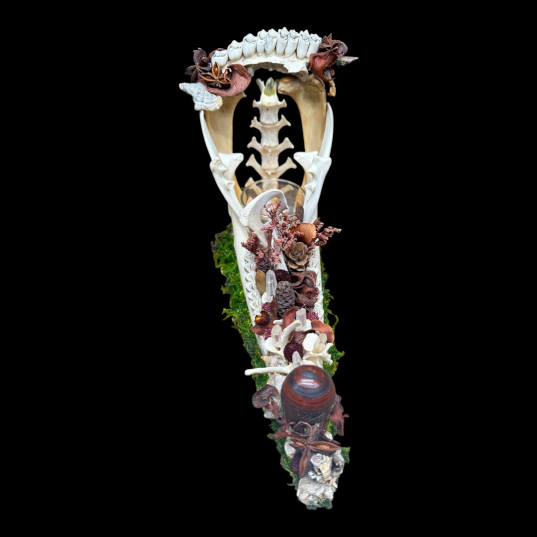 Deer Jaw Candle Holder (Vertebrae & Crystals)