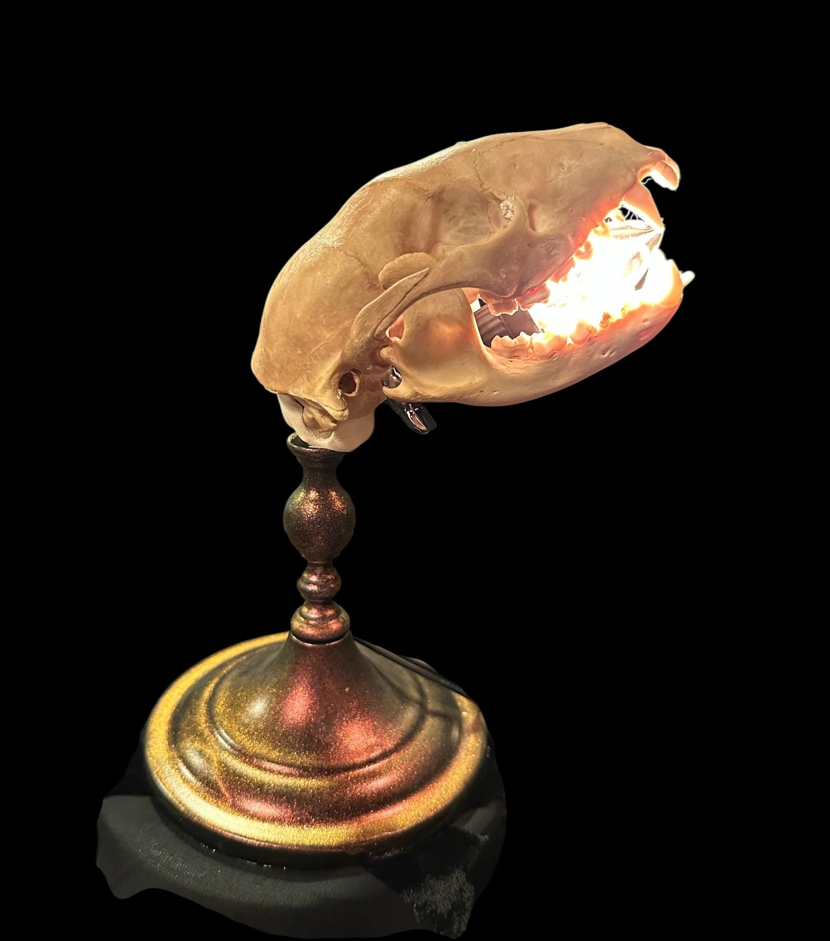 Racoon Skull Lamp (Copper)