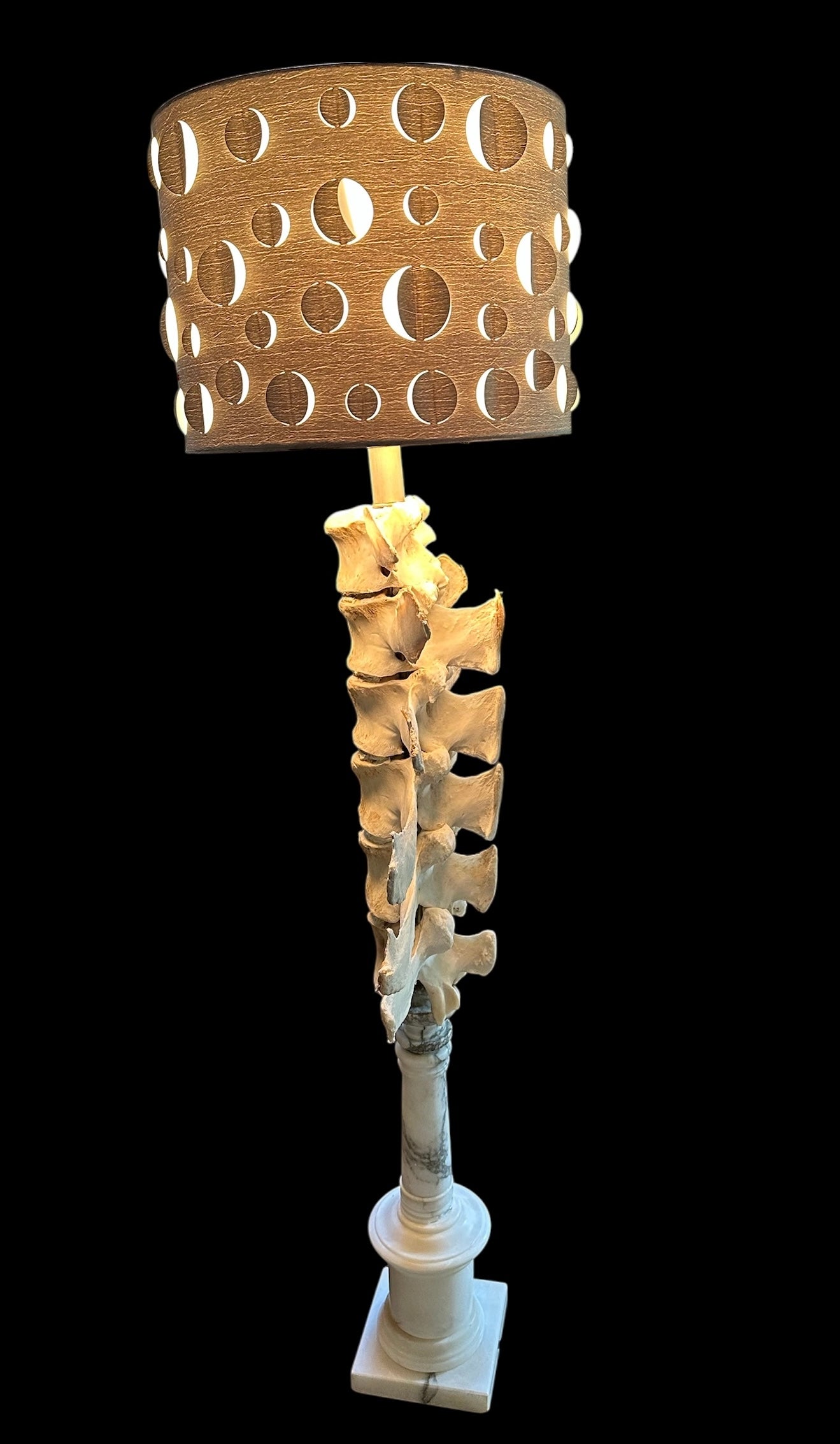 Cow Vertebrae Lamp on Marble Base