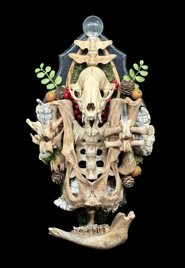 Raccoon Skull and Beaver Bone Wall Plaque