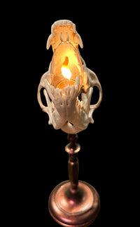 Coyote Skull Lamp (Copper)