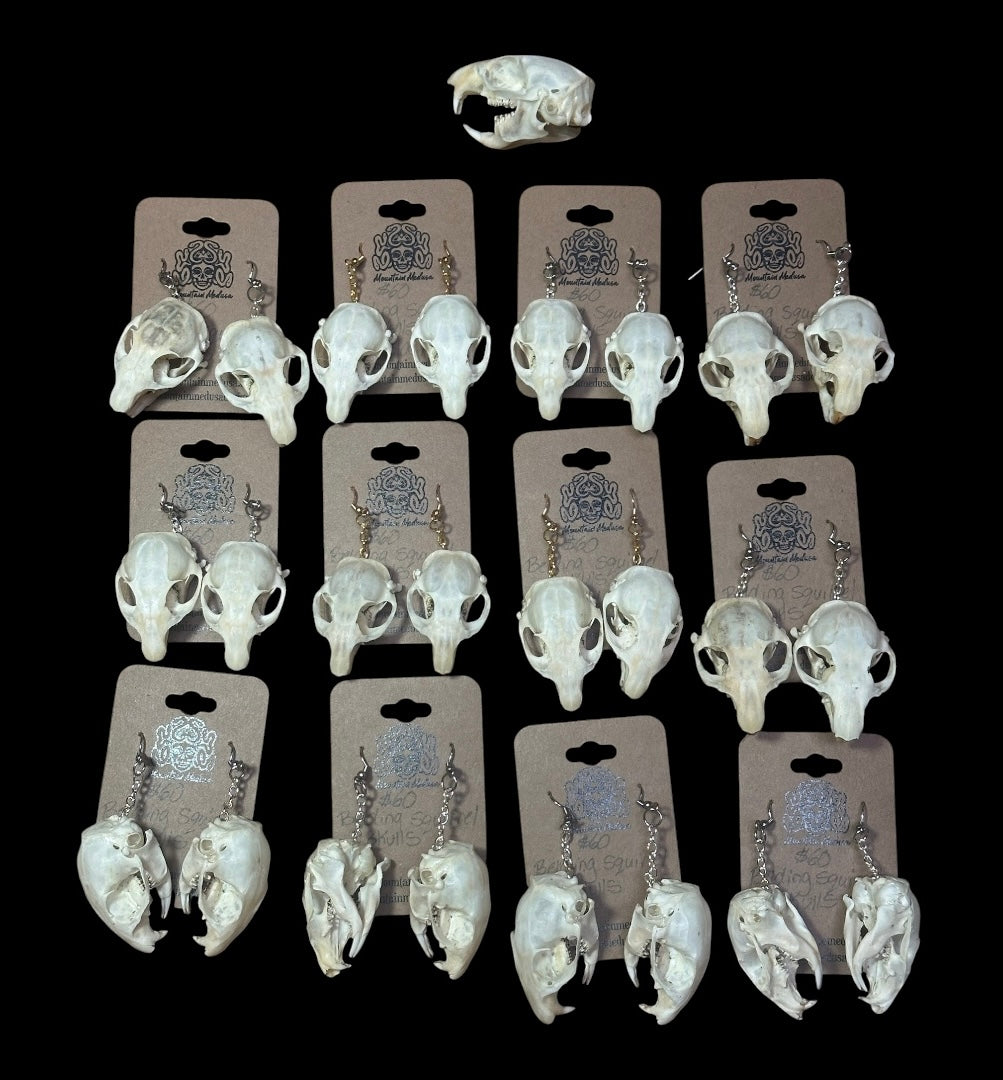 Belding Squirrel Skull Earrings