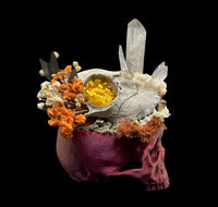 3D Printed Skull with Real Skull and Crystals