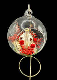 Glass Ornament - Muskrat Skull in Red