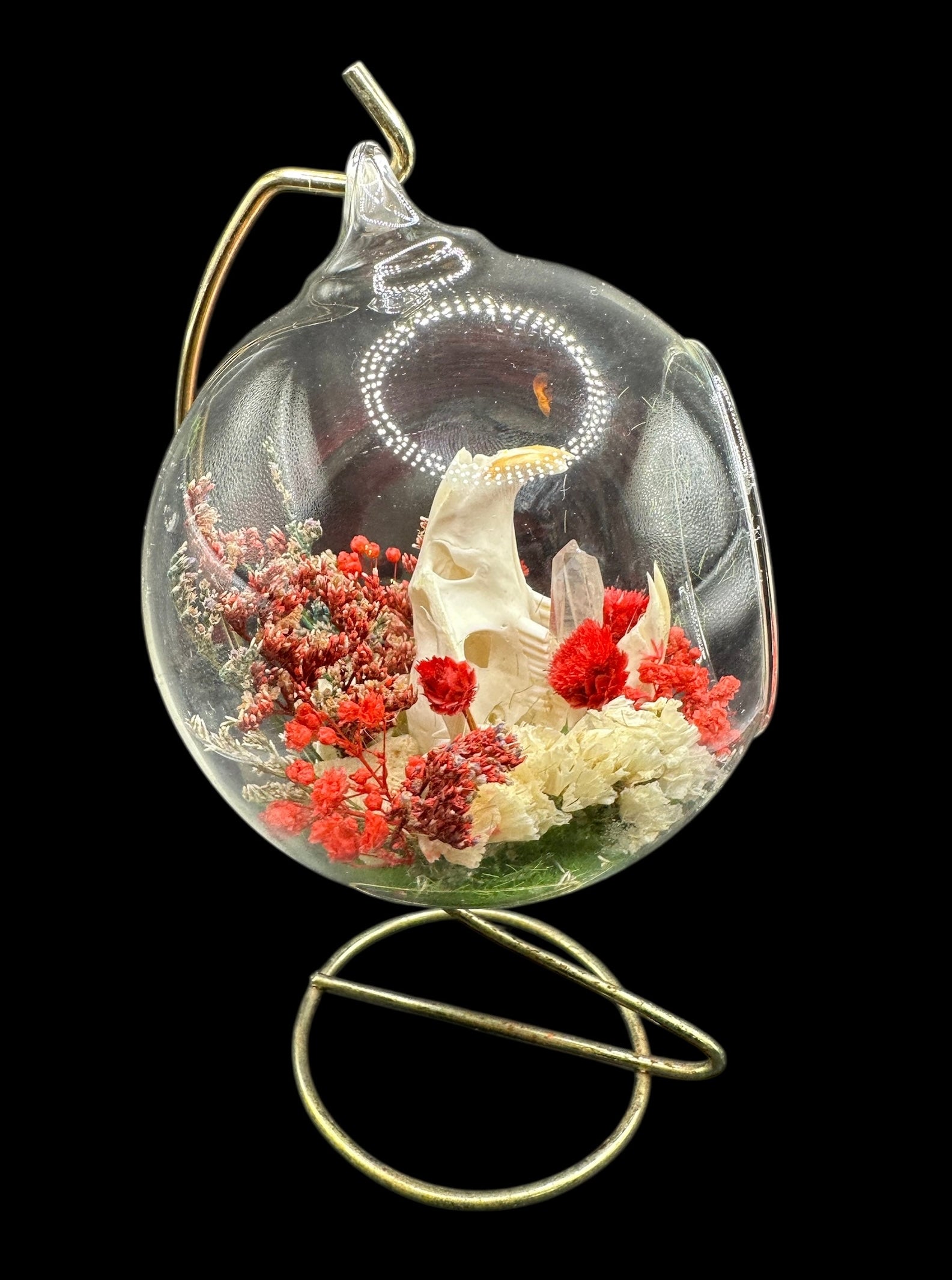 Glass Ornament - Muskrat Skull in Red