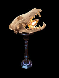 Coyote Skull Lamp on Candlestick Holder (Blue)