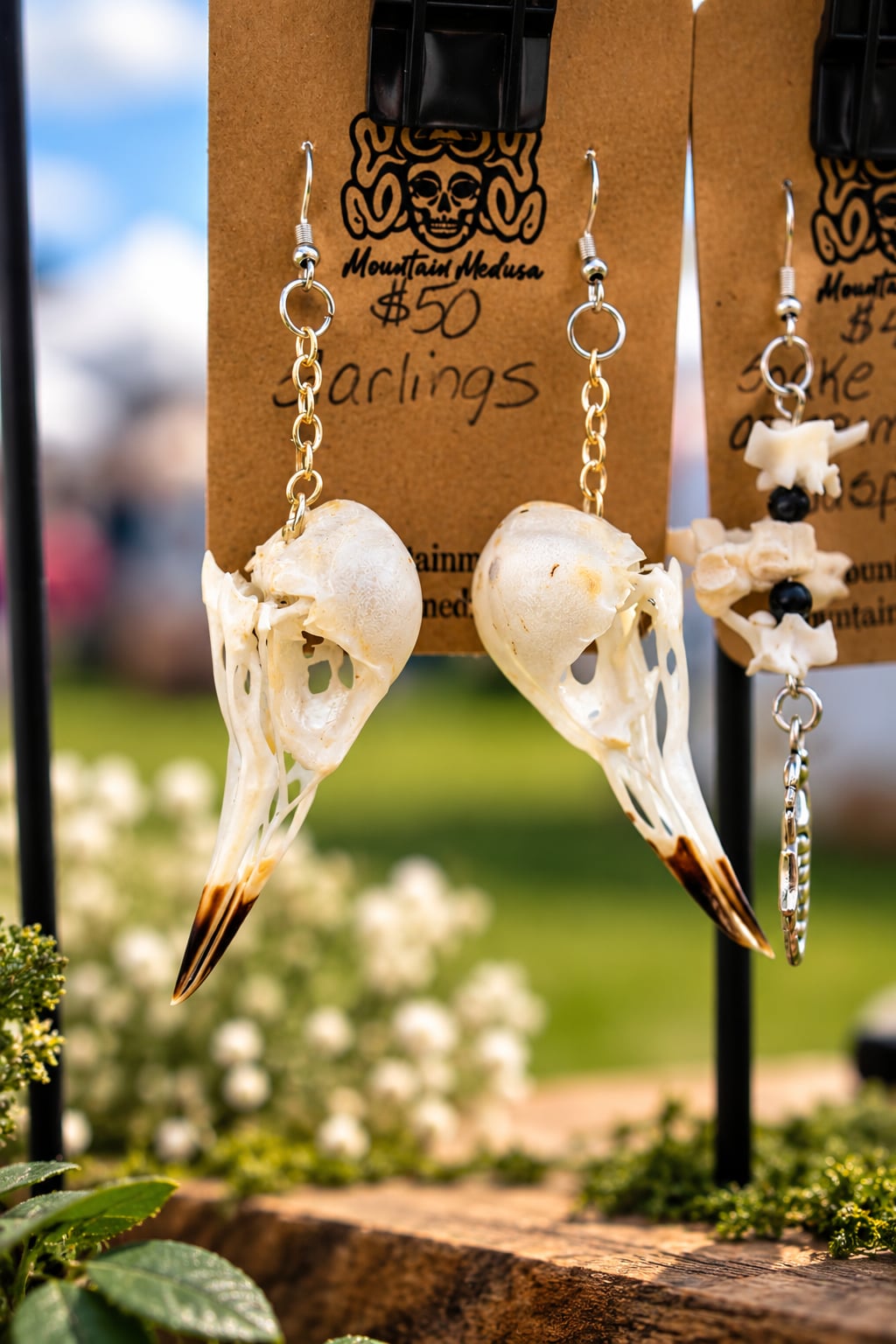 Starling Skull Earrings