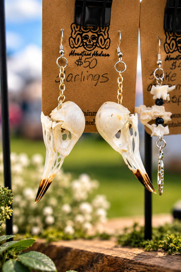 Starling Skull Earrings