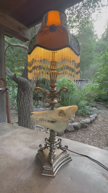 Boar Skull Lamp