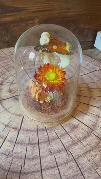 Bones & Butterfly Glass Dome (Orange)