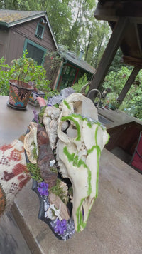 Stag Skull Plaque with Amethyst and Quartz