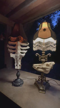 Cow Vertebrae and Sacrum Lamp