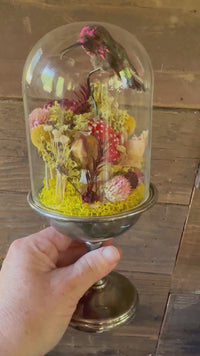 Hummingbird Glass Dome Display