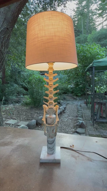 Deer Spine on Marble Base