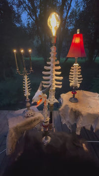 Red Glass Lamp with Goat Skull