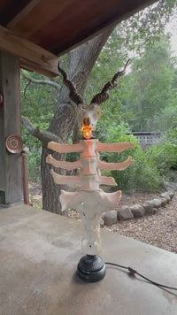 Blackbuck Antelope Skull & Cow Spine Lamp