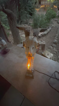 Goat Skull with Horse Vertebrae